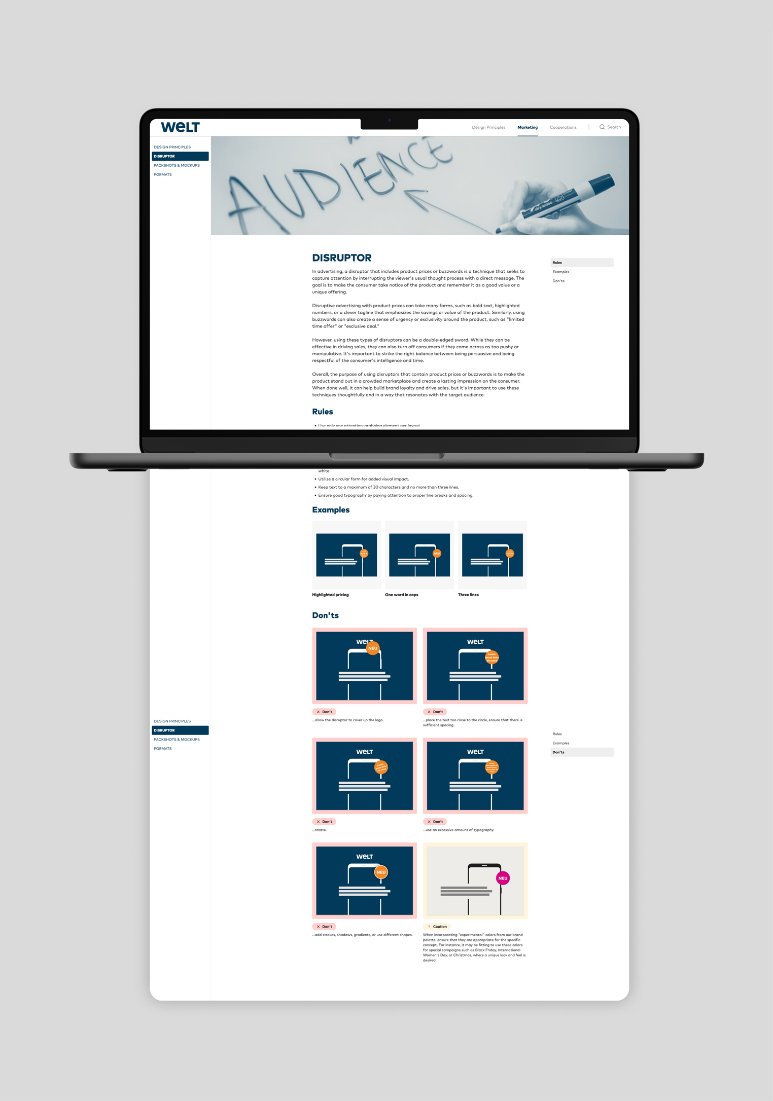 WELT Disruptor Styleguide